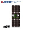 Монокристален соларен панел 100W RAGGIE 