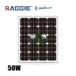 Монокристален соларен панел 50W RAGGIE